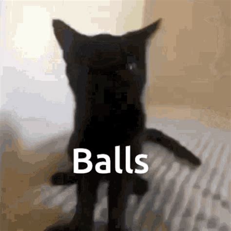 Size: 1379.337890625KB. Frames: Discover & share this BALLS DEEP with Thomas Morton GIF with everyone you know. GIPHY is how you search, share, discover, and create GIFs. 